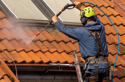 Démoussage et hydrofuge de toiture à Sigonce